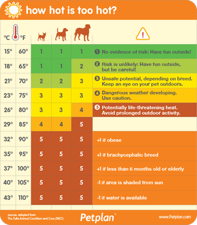 Petplan_guide