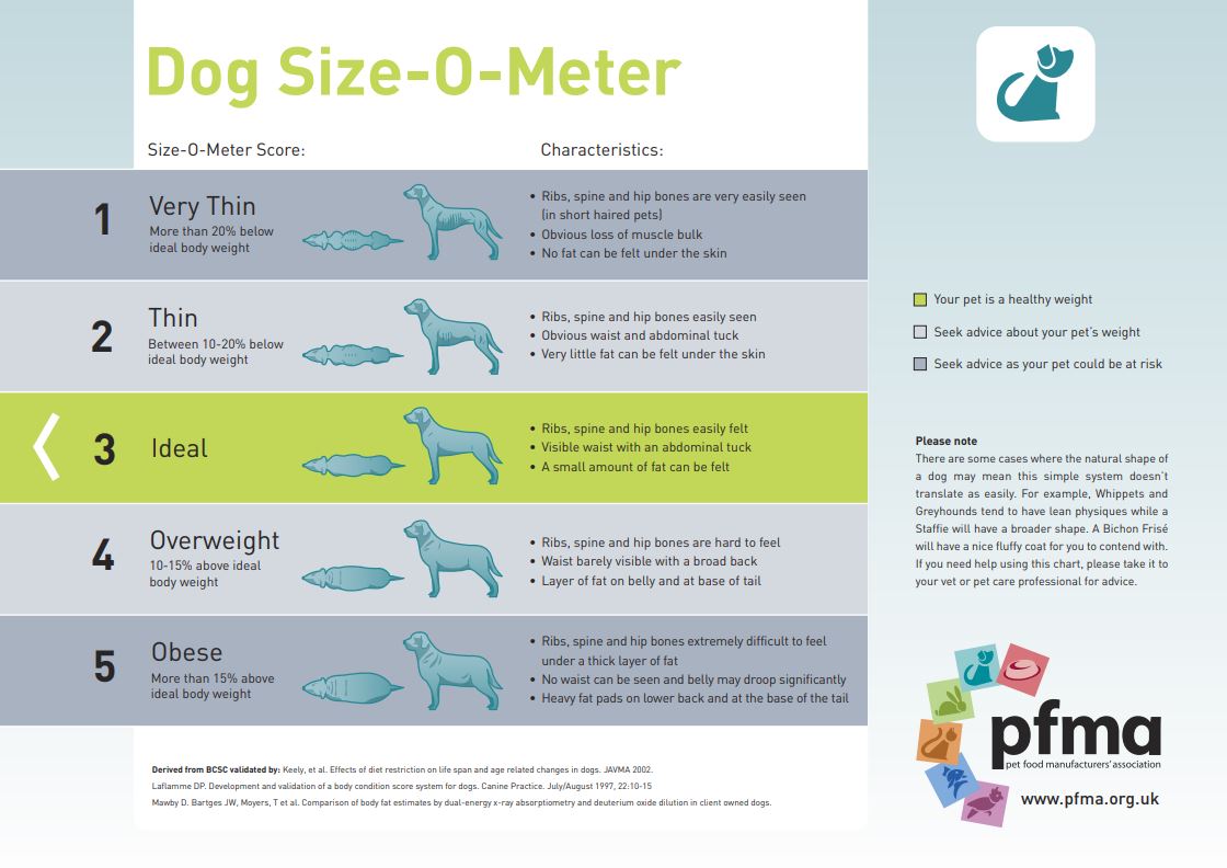 dog-size-o-meter