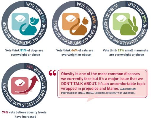 weight-inforgraphic-1