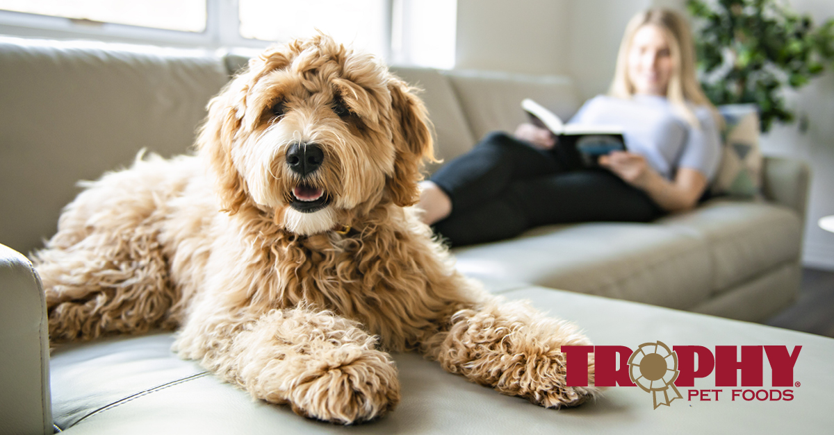 Welcome to Trophy Pet Foods - Trusted by customers Welcome to Trophy Pet Foods - Trusted by customers